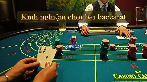 Đặt Cược Theo Số Đông