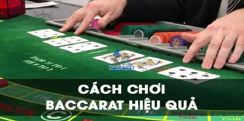 Không Cần Thiết Phải Đặt Cược Mọi Ván