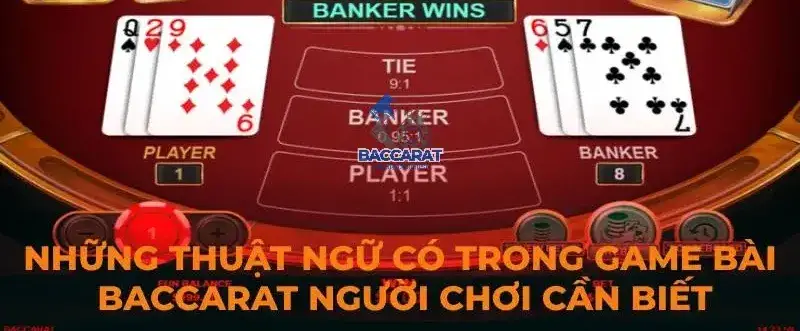 Các Thuật Ngữ Thông Dụng Trong Baccarat